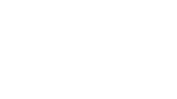 Copat II