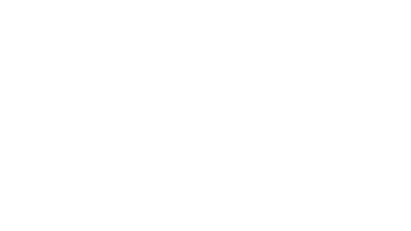 Industrial Salgado